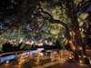Tinga Legends Lodge - dinner on deck